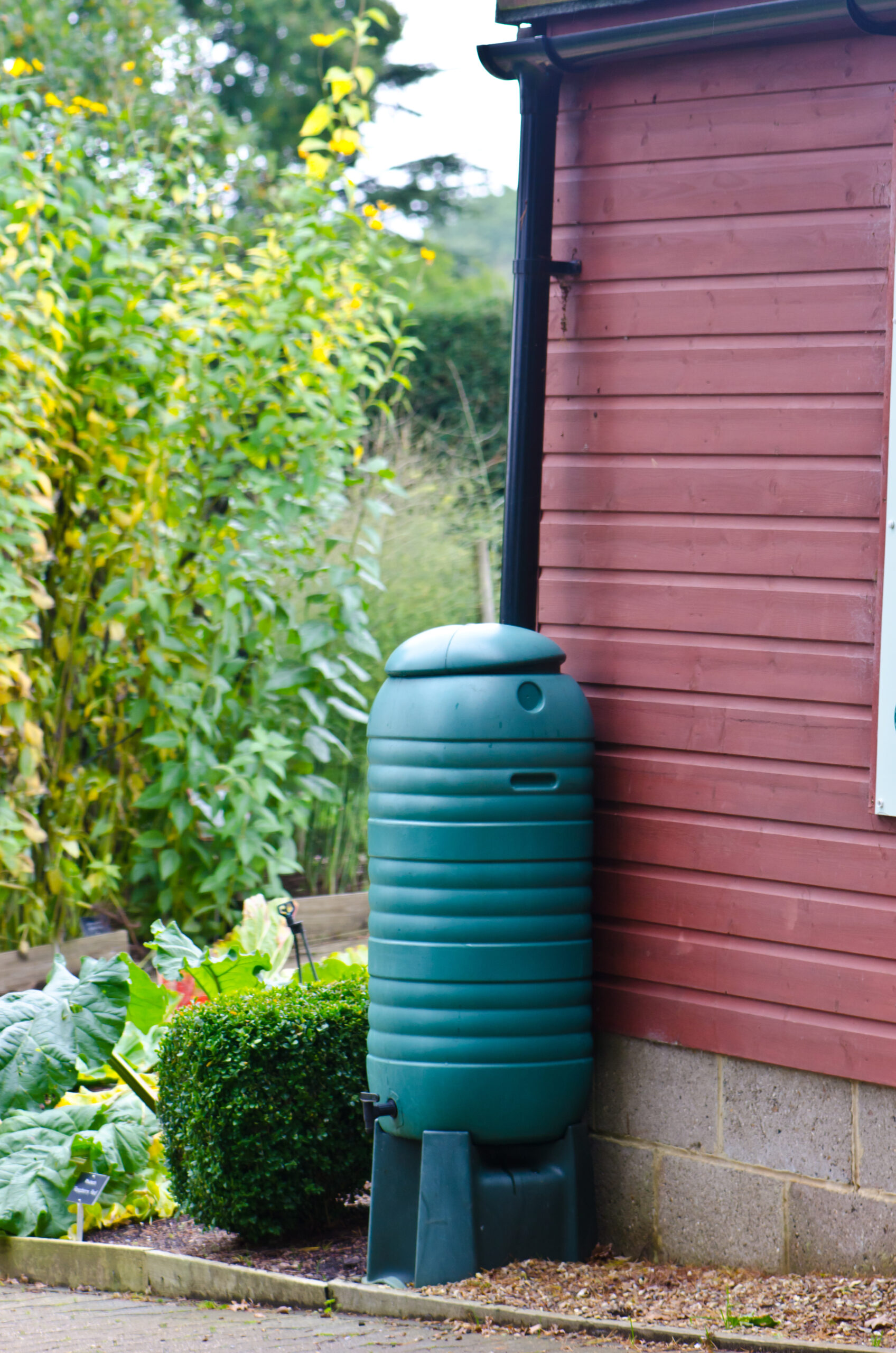 regenton in de tuin 1
3 tips van Paul Adviseur klimaatadaptatie