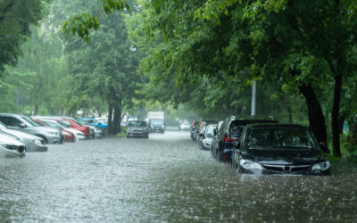 Hoogwater? Hoe kun je overlast zelf zoveel mogelijk voorkomen?