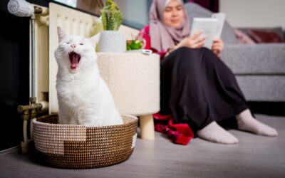 Energiecontracten: wat moet je weten voor deze winter!