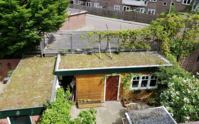 Subsidie voor groene daken en gevels